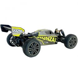 Duo Bonzai Kraze Buggy RC 1/12 4WD High Speed